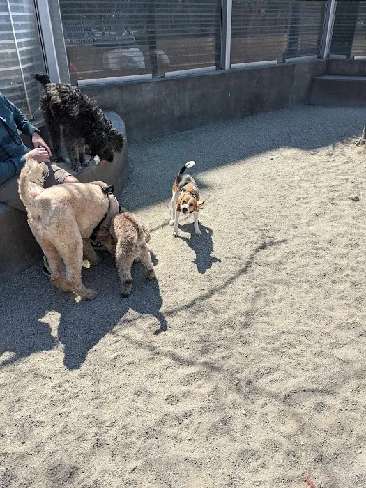 James Hunter Dog Park 1