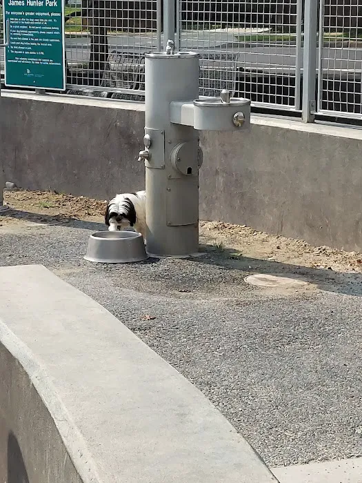 Clarendon Dog Park 4
