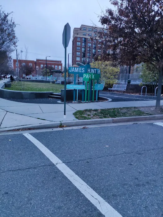 Clarendon Dog Park 5