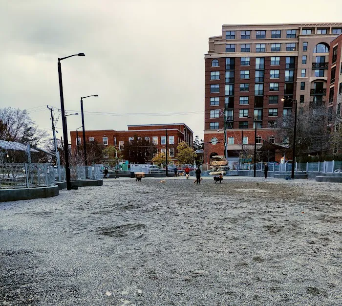 Clarendon Dog Park 6