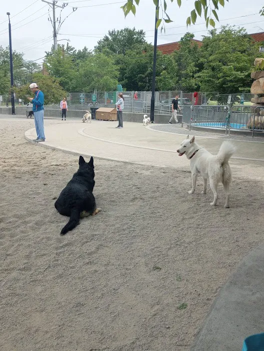 Clarendon Dog Park 10