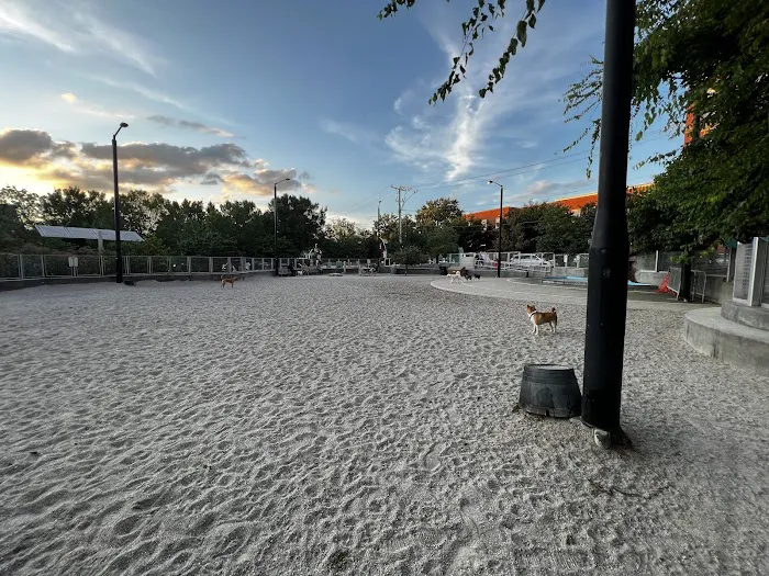 Clarendon Dog Park 8
