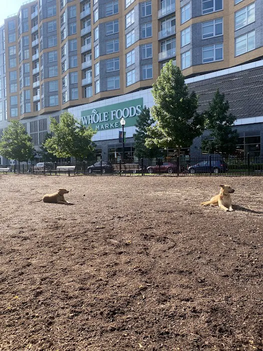 Navy Yard Dog Park 3