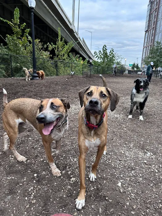 Navy Yard Dog Park 10
