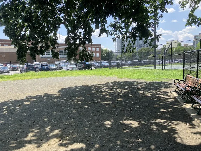 Lansburgh Dog Park 2