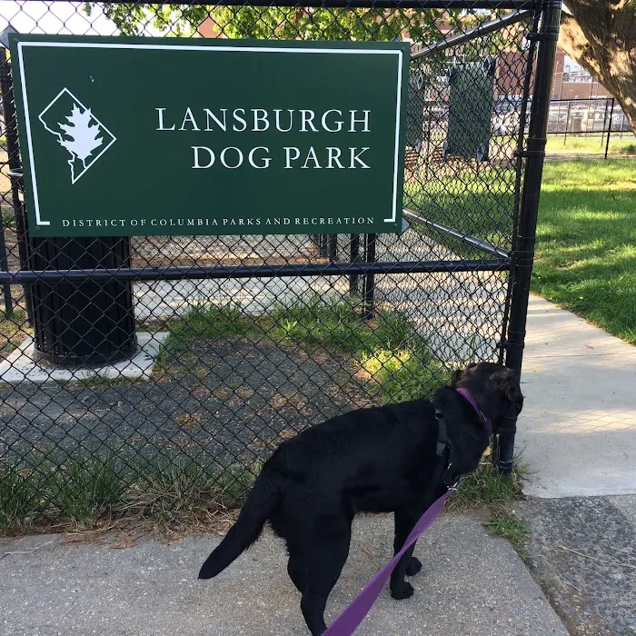 Lansburgh Dog Park 7