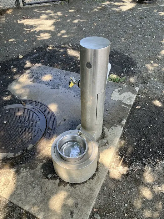 Lansburgh Dog Park 1