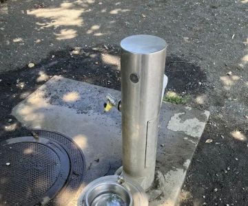 Lansburgh Dog Park