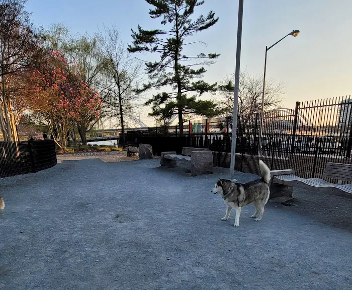 Yards Park Dog Park 8
