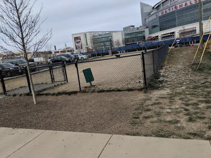 Dock 79 dog park 2