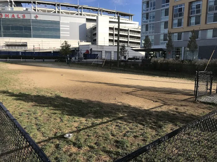 Dock 79 dog park 1