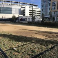 Dock 79 dog park ico