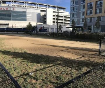 Dock 79 dog park