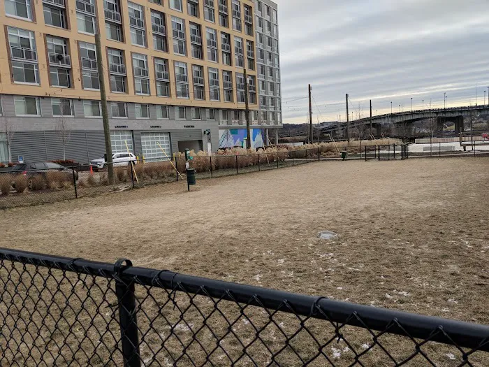Dock 79 dog park 4