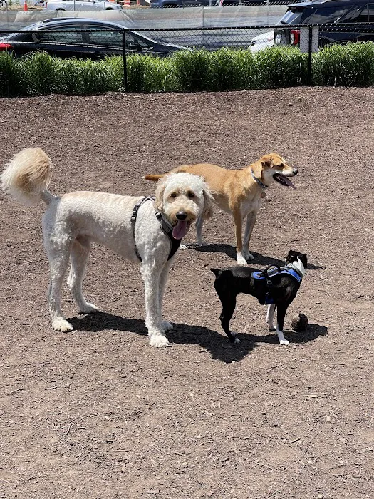 Dock 79 & Maren Dog Park (Private) 1