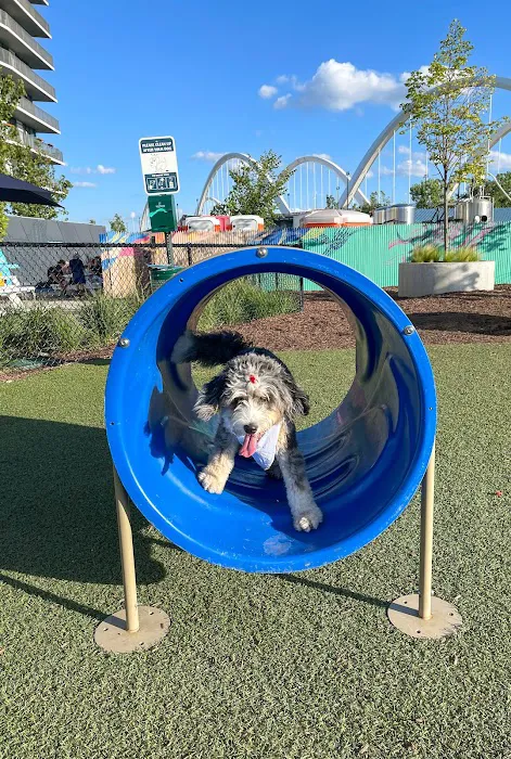 Dock 79 & Maren Dog Park (Private) 3