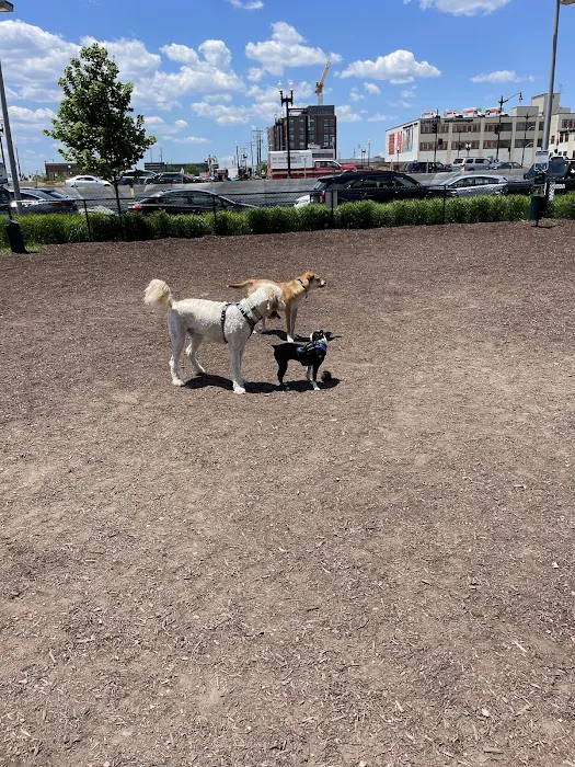Dock 79 & Maren Dog Park (Private) 2