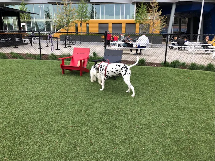 Dock 79 & Maren Dog Park (Private) 9