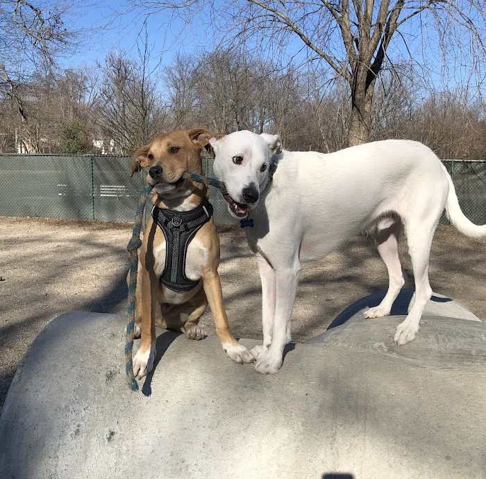 Benjamin Banneker Dog Park 10