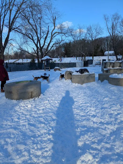 Benjamin Banneker Dog Park 9
