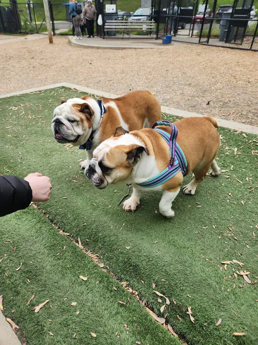 Benjamin Banneker Dog Park 8