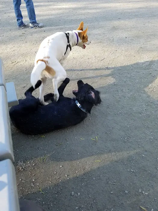 Benjamin Banneker Dog Park 1