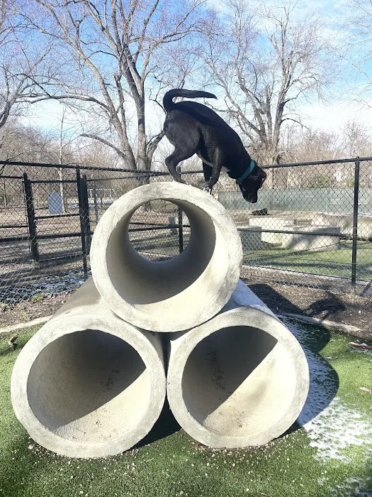 Benjamin Banneker Dog Park 4