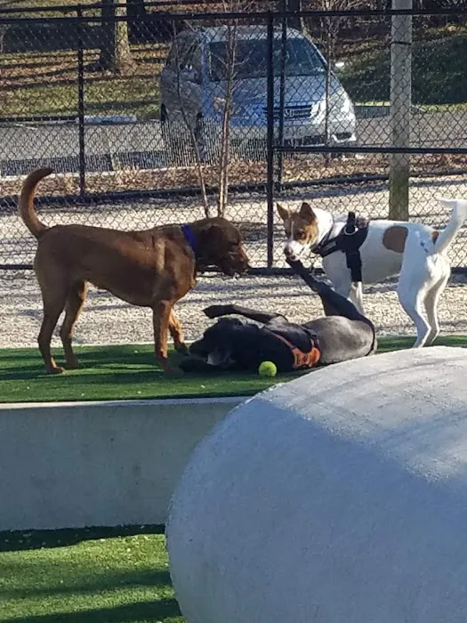 Benjamin Banneker Dog Park 2