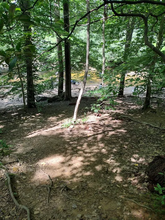 Glencarlyn Dog Park 2