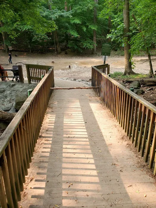 Glencarlyn Dog Park 4
