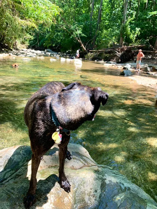 Glencarlyn Dog Park 3