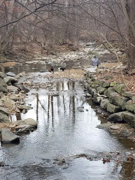 Glencarlyn Dog Park 1