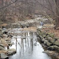 Glencarlyn Dog Park ico