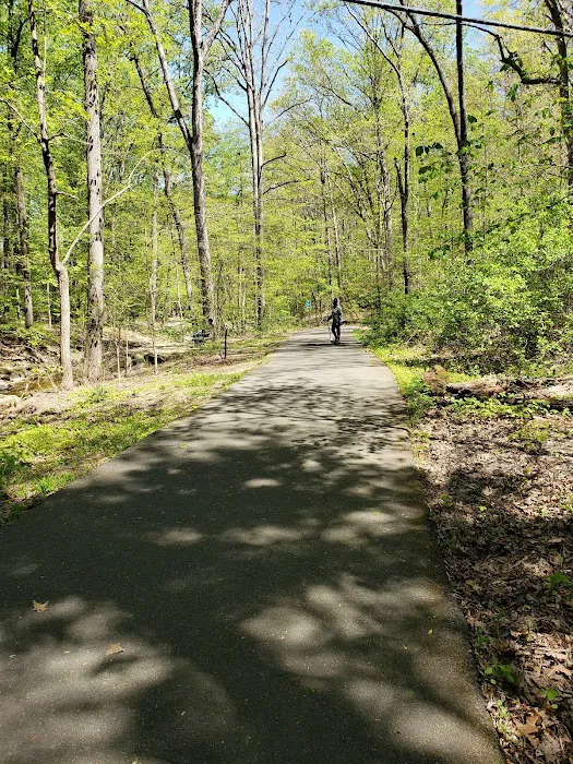 Glencarlyn Dog Park 9