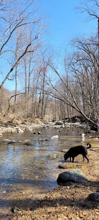 Glencarlyn Dog Park 10