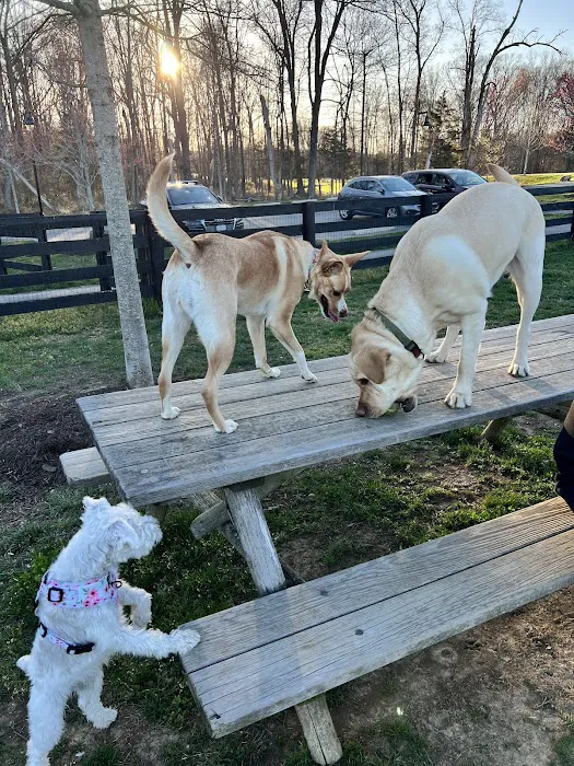 Willowsford - The Greens Dog Park 10