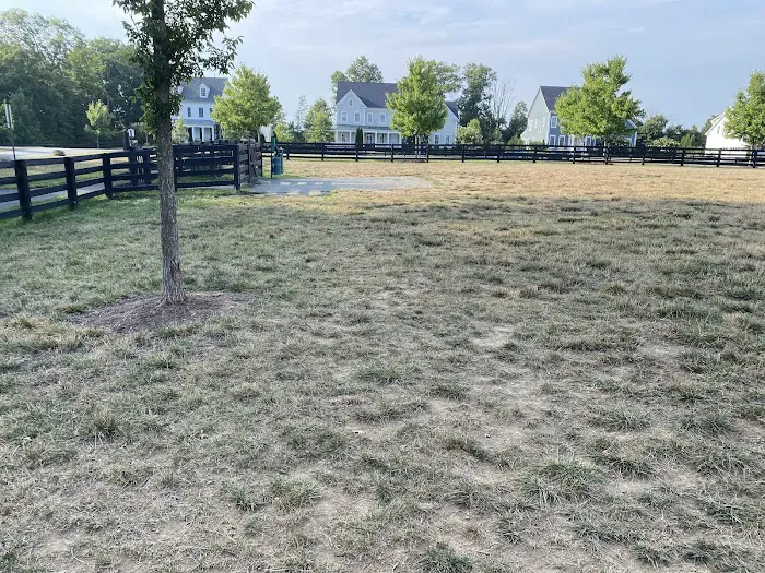 Willowsford - The Greens Dog Park 5