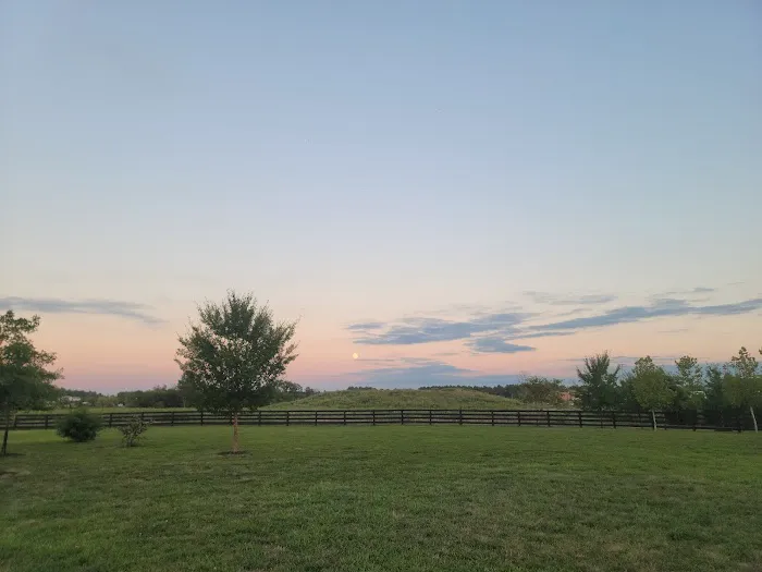 Willowsford - The Greens Dog Park 6