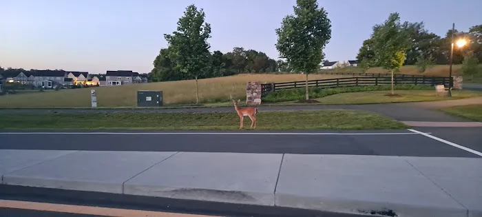 Willowsford - The Greens Dog Park 7