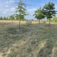 Willowsford - The Greens Dog Park ico