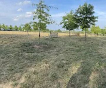 Willowsford - The Greens Dog Park