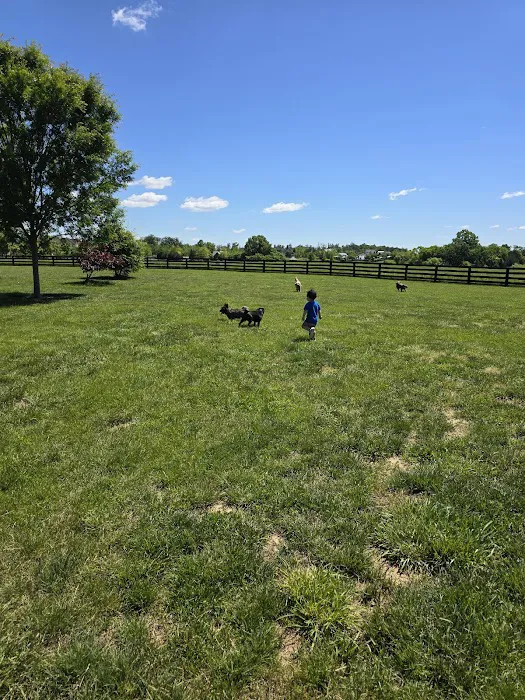 Willowsford - The Greens Dog Park 9