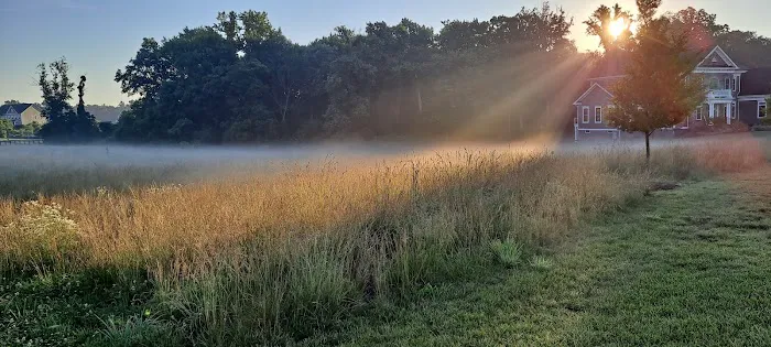 Willowsford - The Greens Dog Park 4