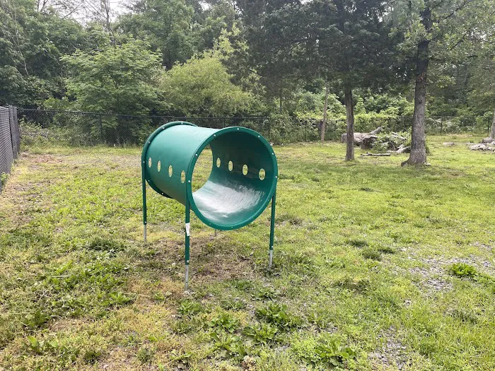 South Riding Dog Park 1