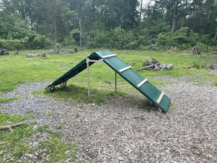 South Riding Dog Park 2