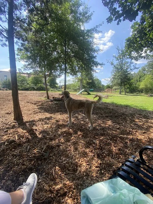 South Riding Dog Park 6