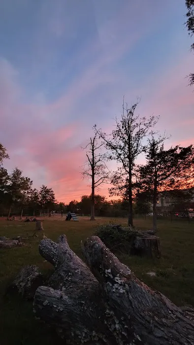 South Riding Dog Park 4