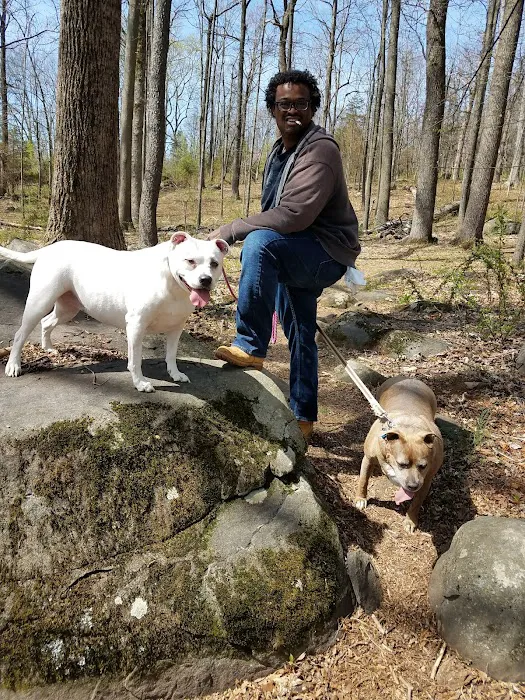 Rock Hill District Park 2