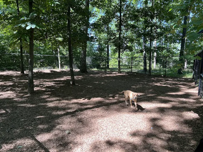 Regency Dog Park 1