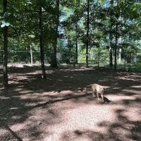 Regency Dog Park ico